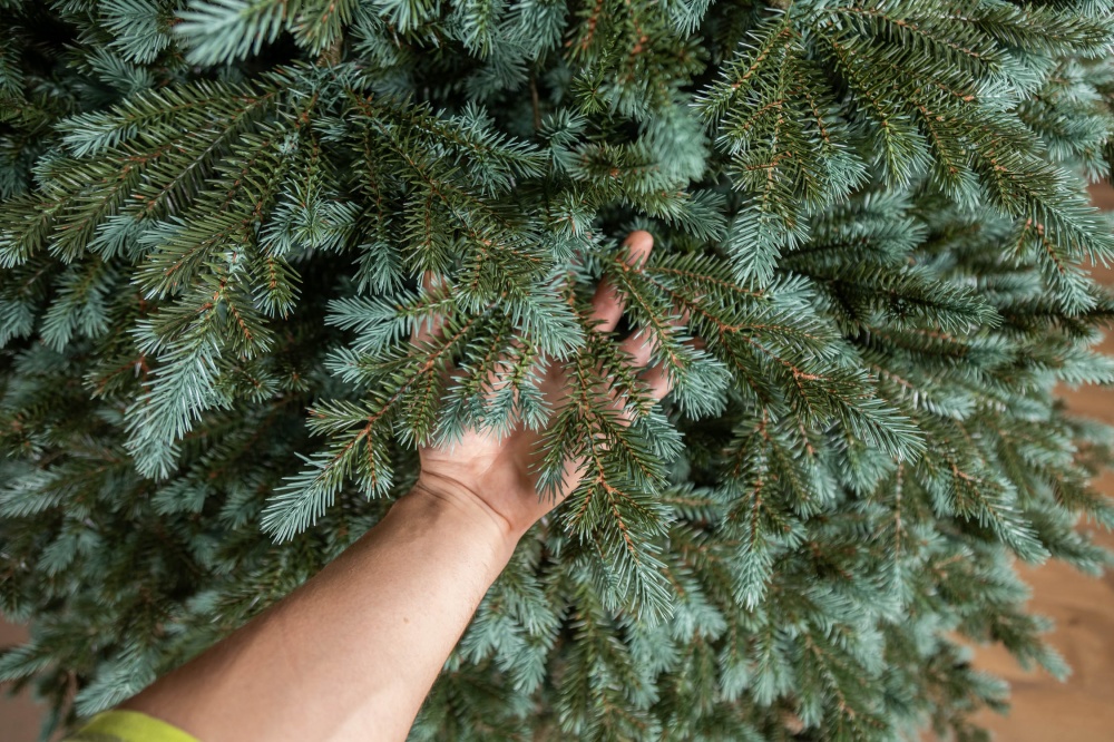 Штучна ялинка лита Аляска 2,10 м зелено-блакитний Siga Group