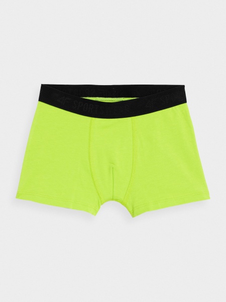 Набор трусов для мальчиковдетские 4F р.140 разноцветный 4FJSS23UBXSM023-90S 