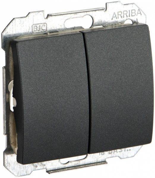 Выключатель двухклавишный Siemens Iris без подсветки 16 А 250В IP20 сталь нептун 18509 AN