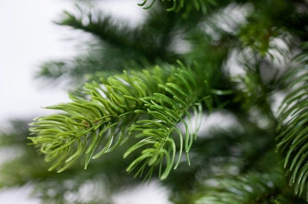 Елка искусственная Дана-210 литая хвоя зеленый 