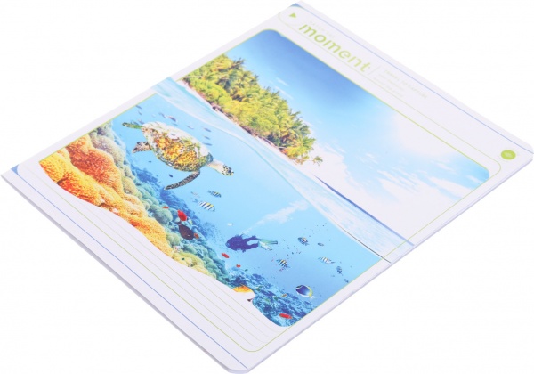 Тетрадь школьная 24 листа в линию УФ-лак в ассортименте