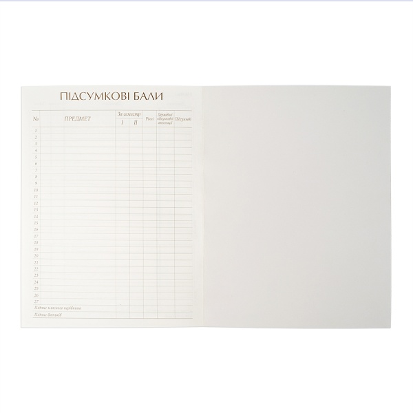 Дневник школьный Player иридиум 911231 YES