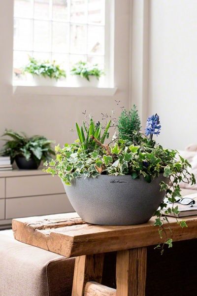 Вазон декоративный Lechuza Cubeto Color 30 круглый 1,6/4,5л графитово-черный (13832) 