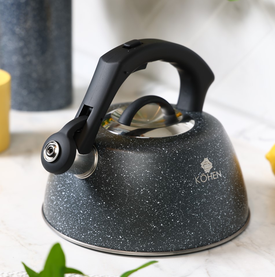 Чайник Kohen Rocky 3 л KN93002