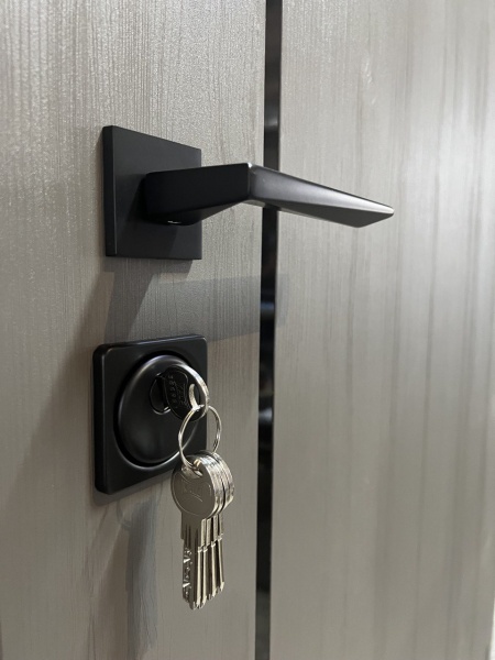 Двері вхідні Мавіс Н-20 клен темно-сірий / клен явір 2050x960 мм ліві