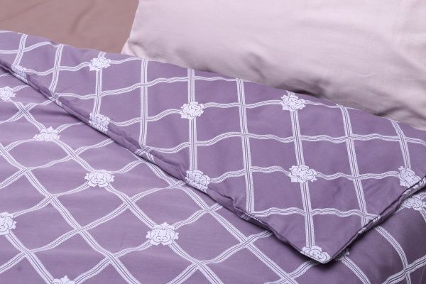Підковдра Bergamo 1,5 160x220 см фіолетовий Luna 