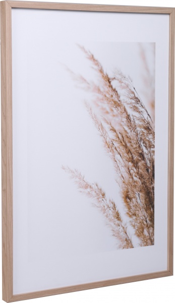 Картина Сухоцвіт 50x70 см Styler OB-14040 