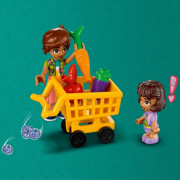 Конструктор LEGO Friends Крамниця органічних продуктів 41729
