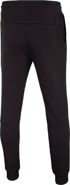 Брюки 4F H4Z20-SPMD012-20S р. L синий