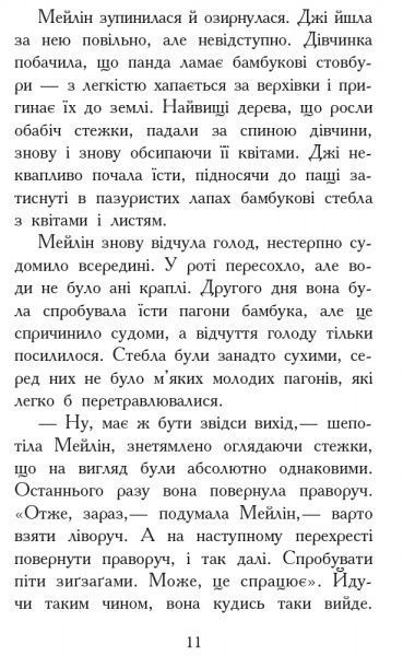 Книга Гарт Нікс «Звіродухи. Книга 3. Кревні узи» 978-617-09-3236-5