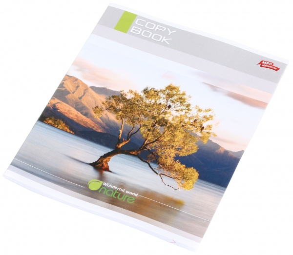 Тетрадь школьная 60 листов в линейку в ассортименте Мечты сбываются