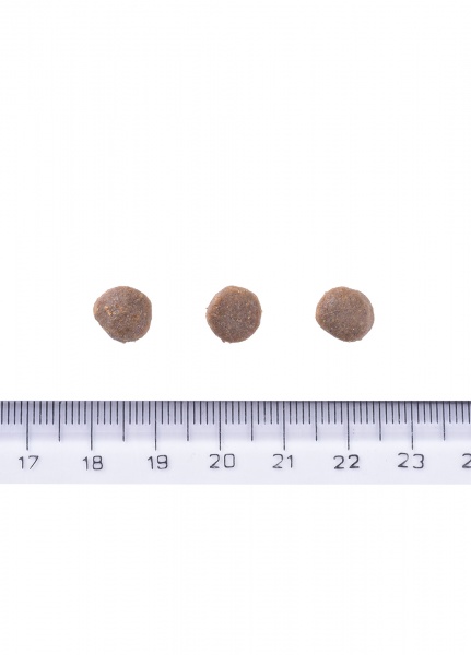 Корм сухой беззерновой для всех пород Brit Care Grain-free Puppy с лососем 12 кг