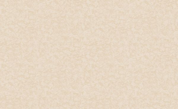 Шпалери зі спіненого вінілу Bravo 86018BR93 1,06x10,05 м 