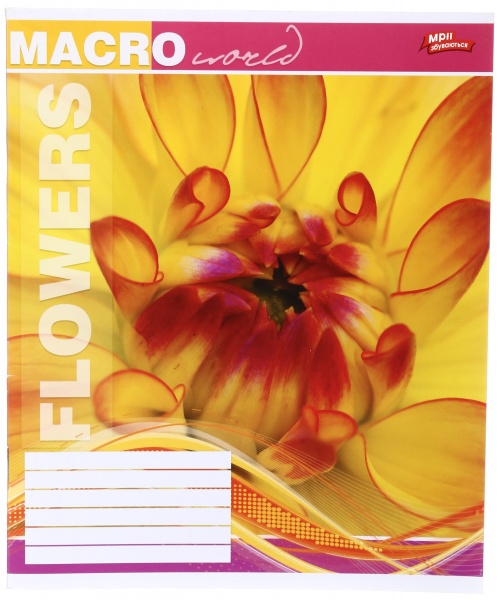 Тетрадь школьная 36 листов в линейку в ассортименте Мечты сбываются