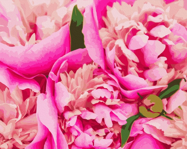 Картина за номерами Рожева Mary 12131-AC 40х50 см ArtCraft 