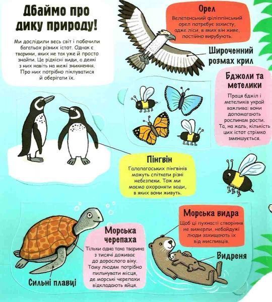 Книга Рут Мартін «Маленькі дослідники. Свiт тварин» 978-966-9761-06-4