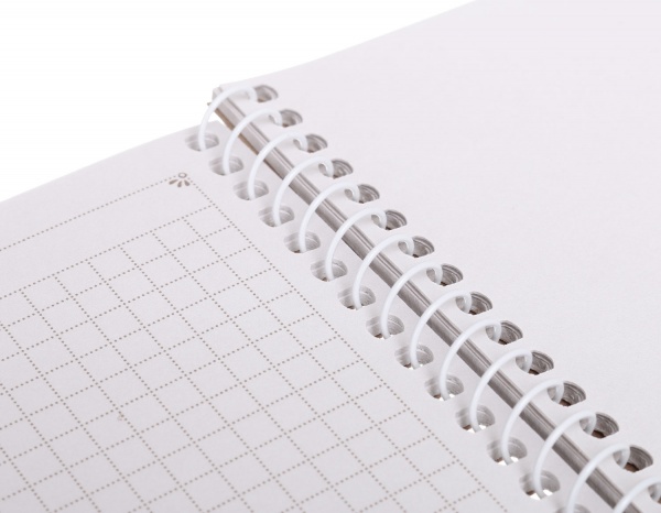 Тетрадь школьная Спираль A5 60 листов в клеточку