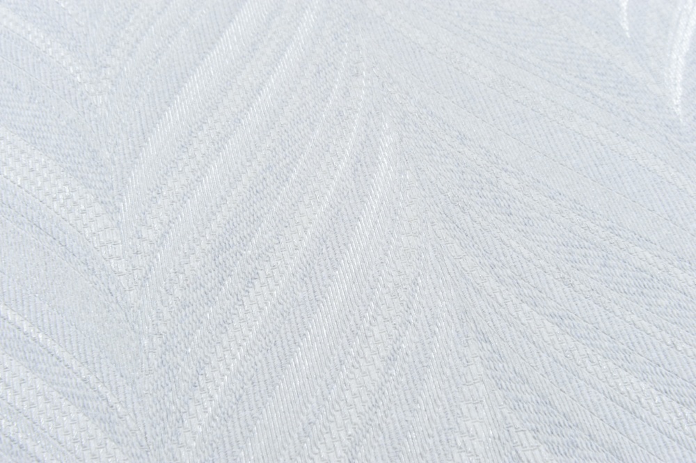 Обои виниловые на флизелиновой основе Vinil Ariya decor ТФШ 1-1438 1,06x10,05 м