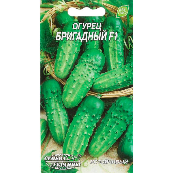 Насіння Семена Украины огірок Бригадний F1 0,5г