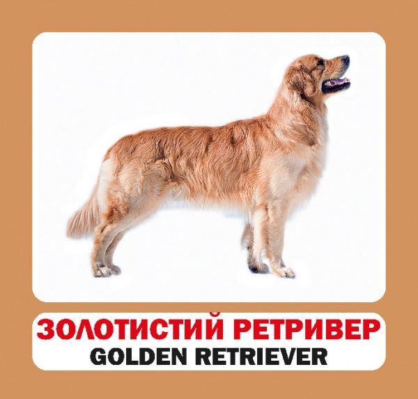 Книга «Навчальний посібник. Собаки . англ-укр»