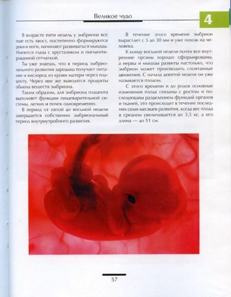 Книга «Сексуальная энциклопедия для подростков» 978-966-333-702-9