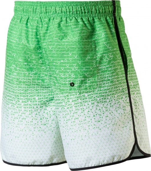 Шорти Firefly Dalton ux 273264-750 р. M зелений