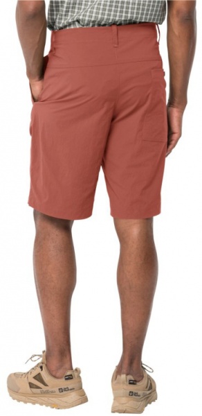 Шорти Jack Wolfskin DESERT SHORTS M 1508341_2188 р. 50 червоний