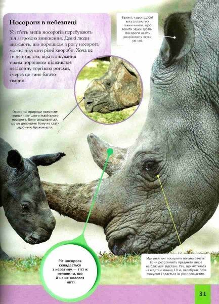 Книга Майкл Лич «Дитяча енциклопедія тварин» 978-966-942-575-1