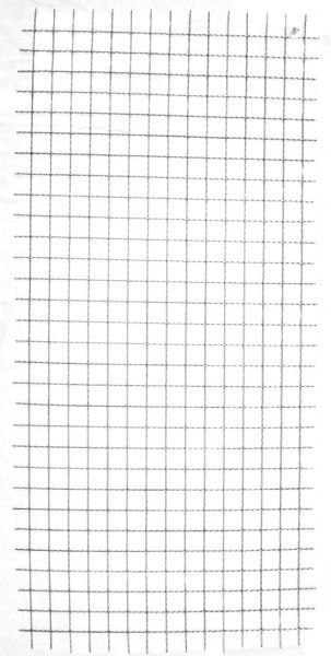 Сетка канилированная ПРОМТЕХСТРОЙ 25x25x2,5 мм оцинкованная (2x1 м)