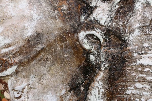 Картина Слон 91x91 см 