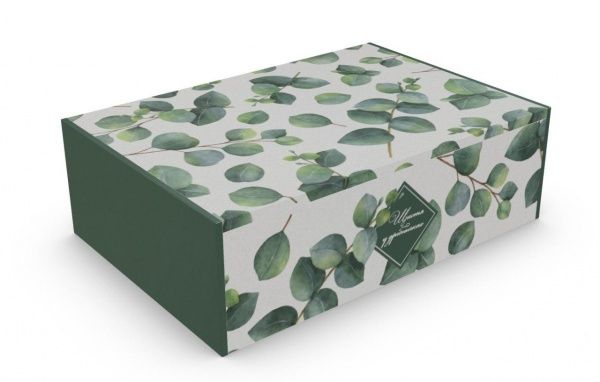 Шкатулка M Листья 178x258x74 мм CooverBox