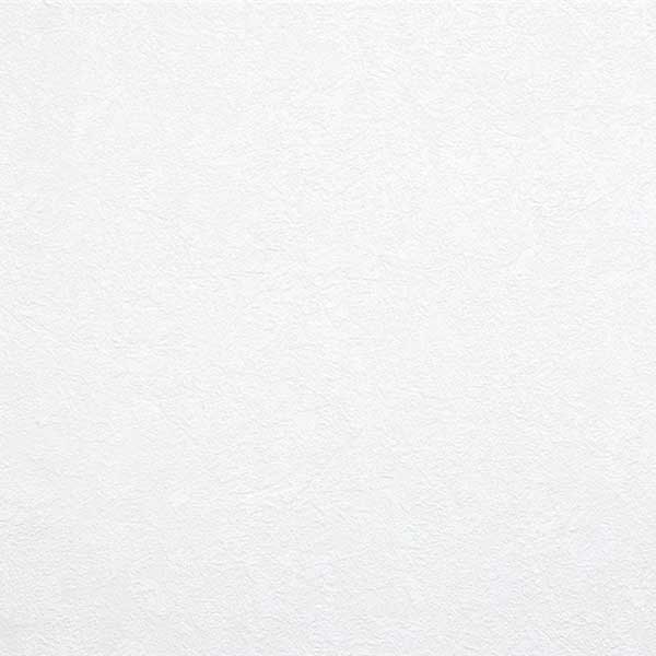 Шпалери під фарбування Bravo категорія 536 83015BR60 1,06x25 м 