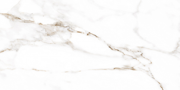 Плитка Allore Group Mira White F P R Satin 60x120 см 