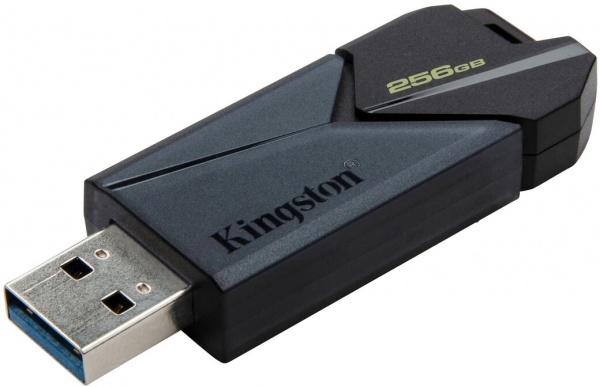 Флешпам'ять USB Kingston DataTraveler Exodia Onyx 256 ГБ USB 3.2 black (DTXON/256GB) 