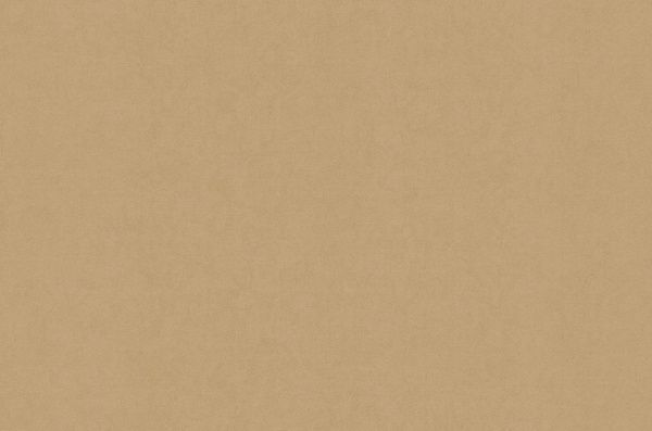 Шпалери вінілові гарячого тиснення Bravo тип 531 81142BR16 1,06x10,05 м 