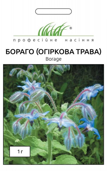 Насіння Професійне насіння огіркова трава Бораго 1 г (4823058203539)