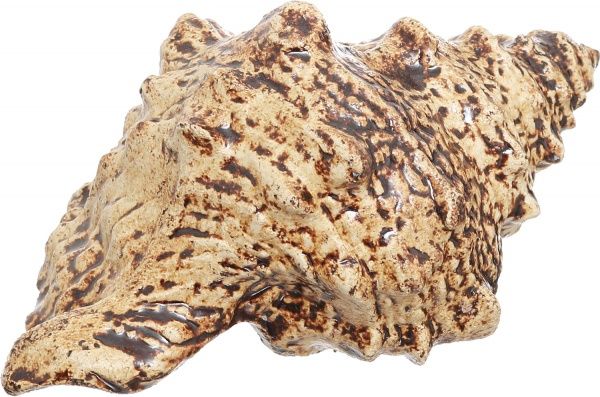 Испаритель Наш шлях Дар Посейдона