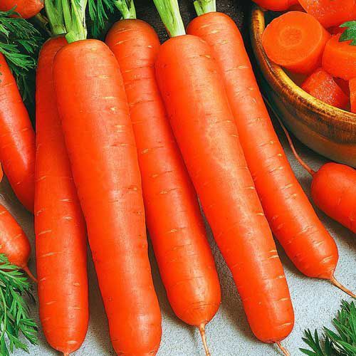 Семена Яскрава морковь Перфексия Евро 3г