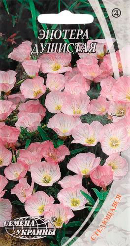 Насіння Golden Garden Энотера запашна 0,1 г