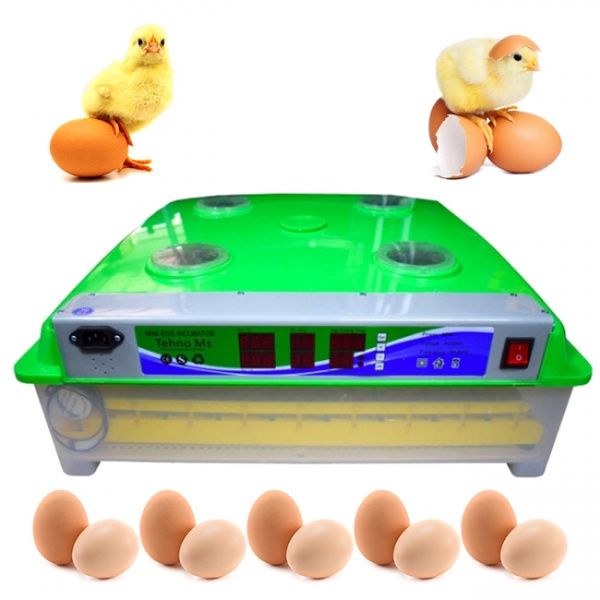 Инкубатор автоматический MS-63/252