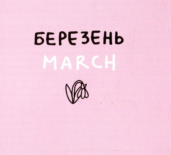 Книга Романа Рубан «Дванадцять місяців з борсуком» 978-617-739-534-7