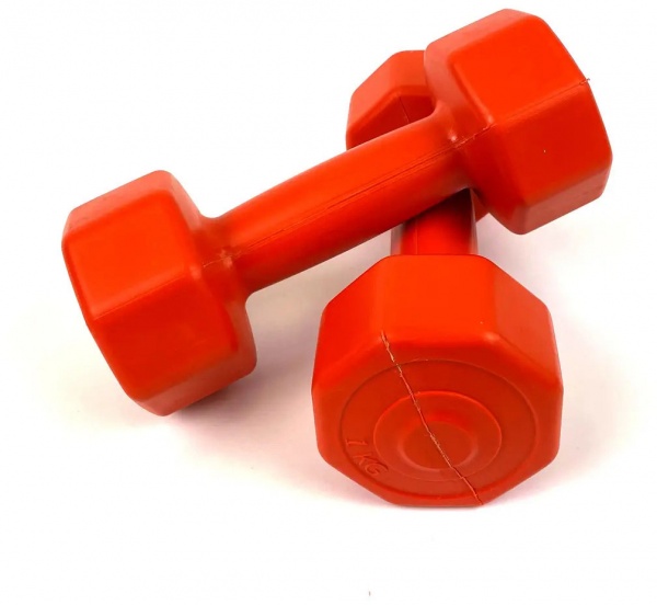 NEO-SPORT Гантелі 2 шт по 4 кг. Neo-Sport сірий 