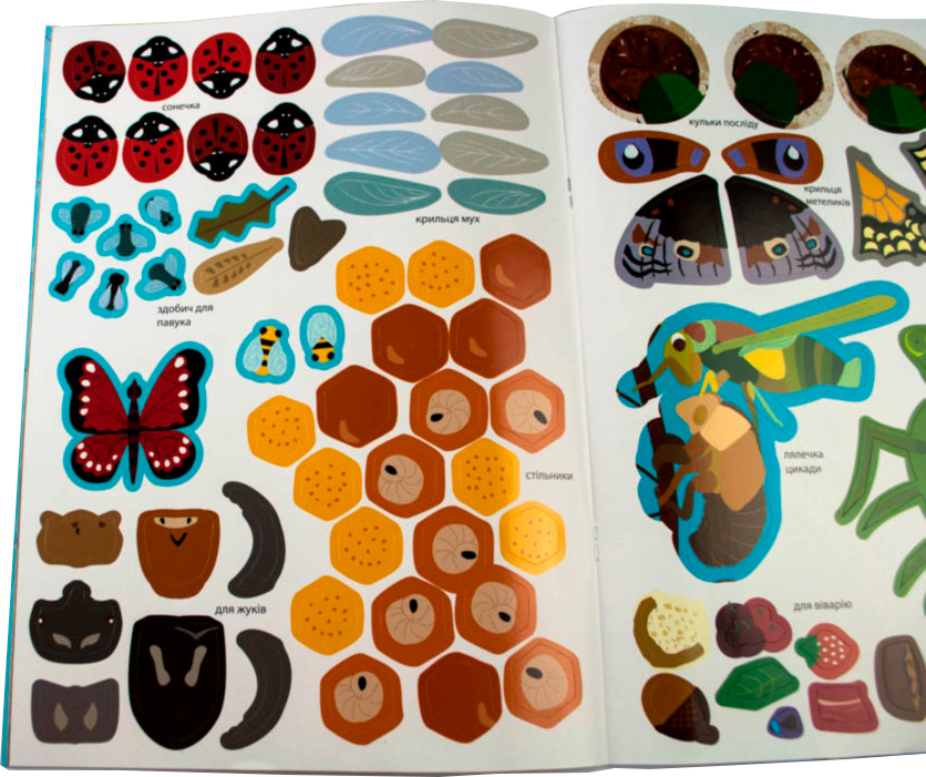 Книга «Моя книга природи : Комахи саду» 978-617-09-4101-5