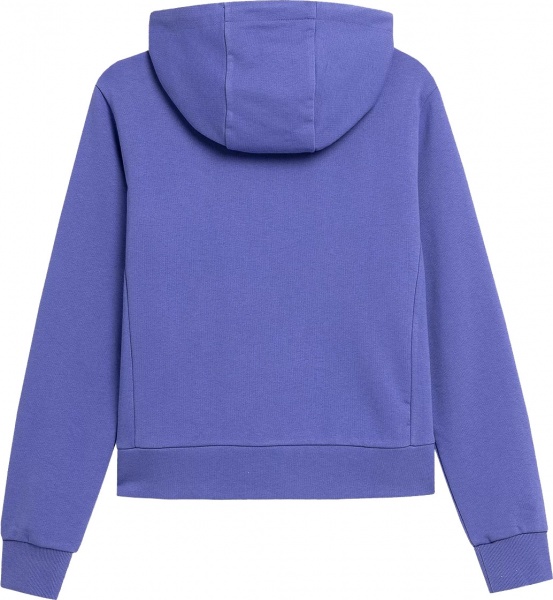 Джемпер 4F 4FAW21TSWSF025-36S р. L сірий