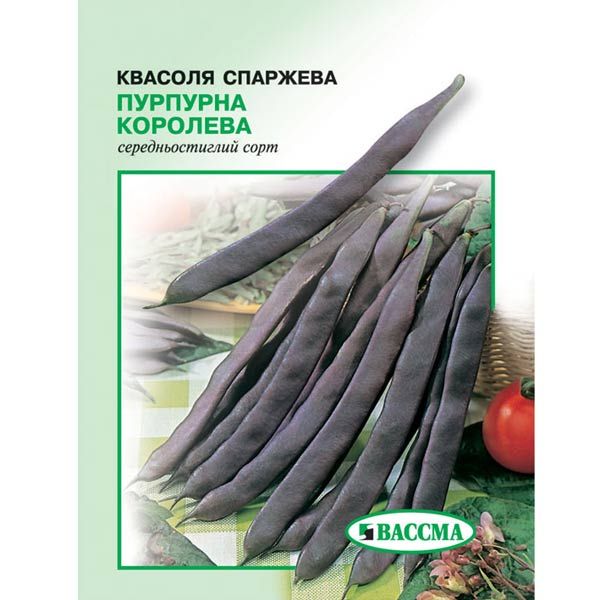 Насіння Квасоля спаржова Пурпурна королева 10 г