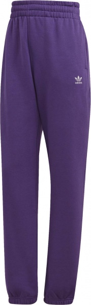 Штани Adidas Pants H06628 р. 36 фіолетовий