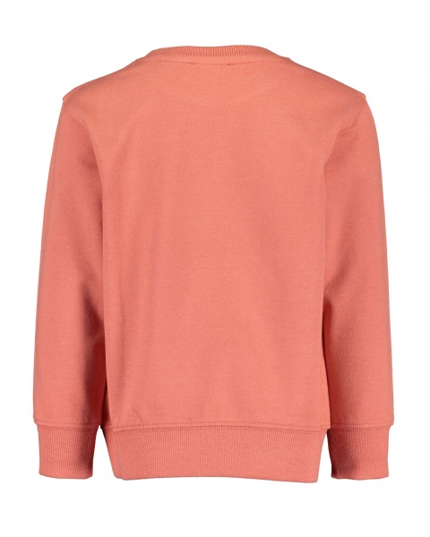 Реглан для мальчика Blue Seven р.122 817605 X_243_р.122 