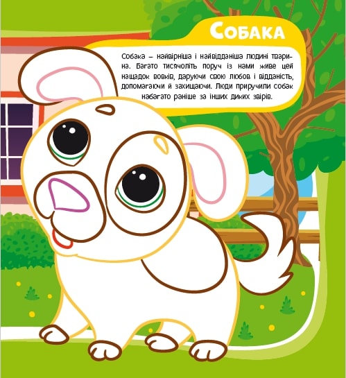 Развивающая книжка «Розфарбовка-енциклопедія. Домашні тварини» 978-617-777-592-7