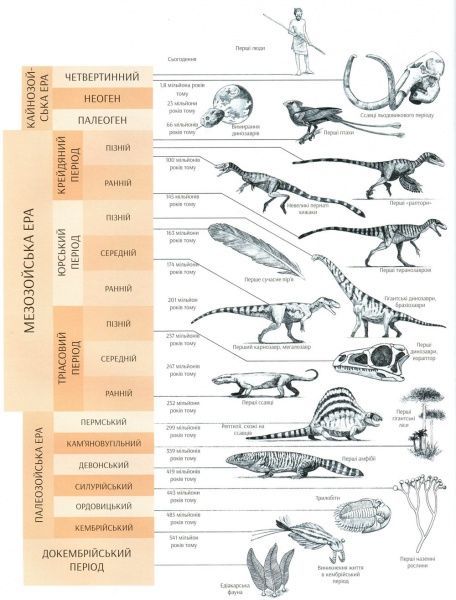 Книга Джузеппе Брилланте «Усе про динозаврів» 978-966-982-072-3