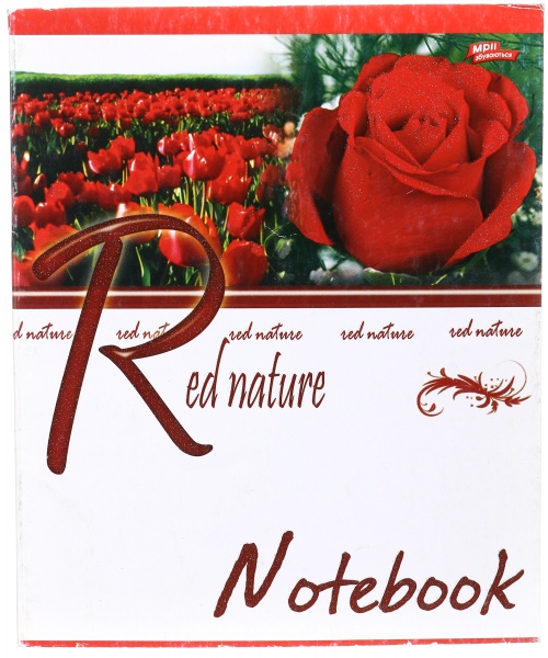 Тетрадь школьная с глитером 48 листов в клеточку в ассортименте Мечты сбываются